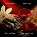 ORACLE - EXTRAIT DE PARFUM